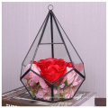 Hot Selling Diamond Shape Glass Plants Terrarium Geometric